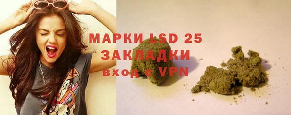 прущие грибы Дмитровск