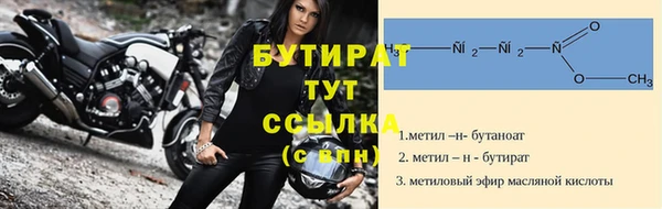 прущие грибы Дмитровск