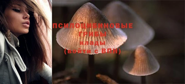 не бодяженный Дмитров