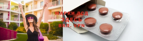 прущие грибы Дмитровск