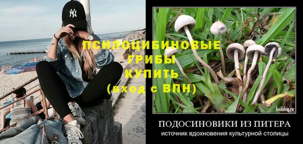 не бодяженный Дмитров