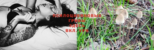 спайс Дмитриев