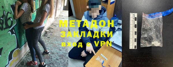 прущие грибы Дмитровск
