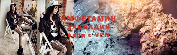 прущие грибы Дмитровск