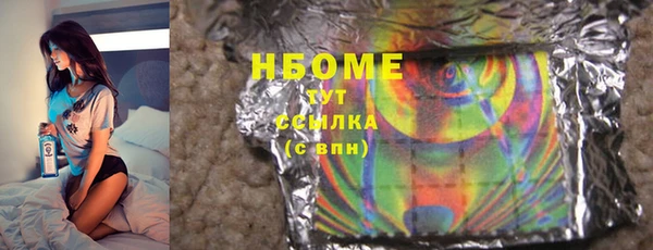 прущие грибы Дмитровск