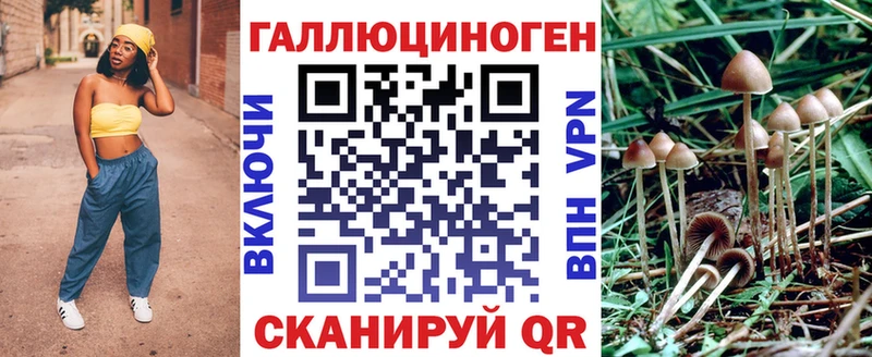 Купить где  Шахунья  Галлюциногенные грибы Cubensis 